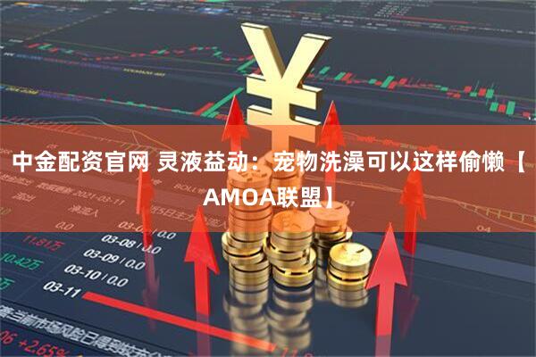 中金配资官网 灵液益动：宠物洗澡可以这样偷懒【AMOA联盟】
