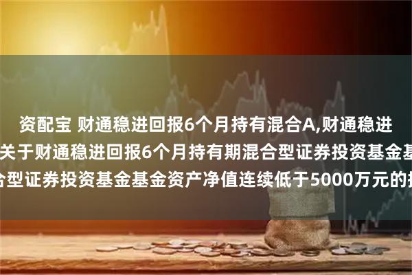 资配宝 财通稳进回报6个月持有混合A,财通稳进回报6个月持有混合C: 关于财通稳进回报6个月持有期混合型证券投资基金基金资产净值连续低于5000万元的提示性公告