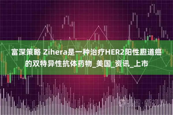 富深策略 Zihera是一种治疗HER2阳性胆道癌的双特异性抗体药物_美国_资讯_上市
